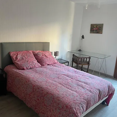 Appartement D'olivia Capitole Hypercentre